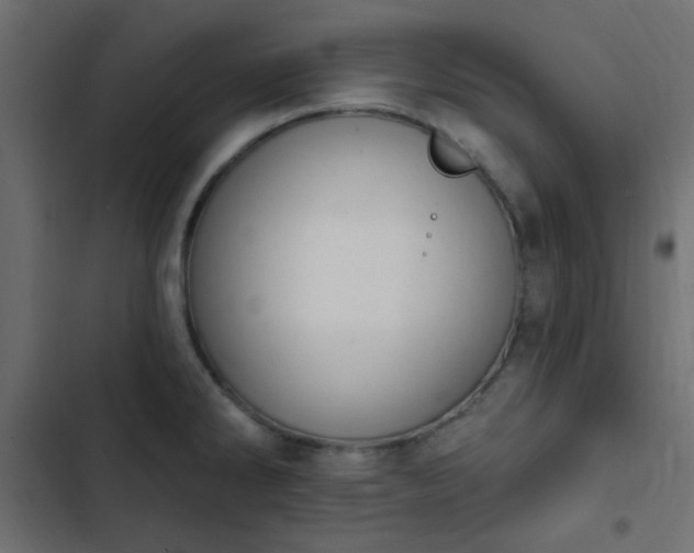 X0000103931286200809261655