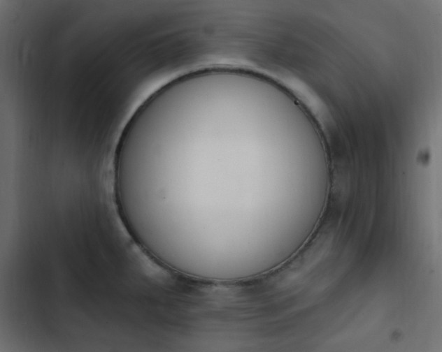 X0000103931287200809261655
