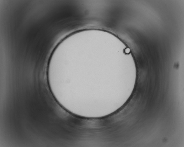 X0000103931288200809261655