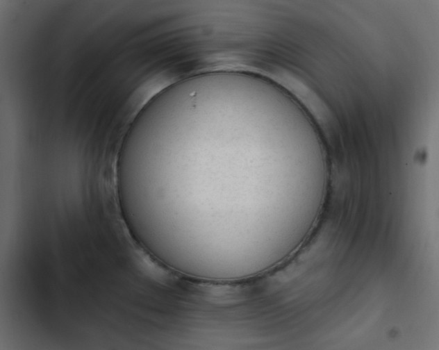 X0000103931289200809261655