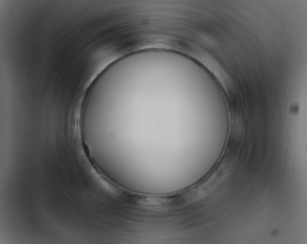 X0000103931290200809261655