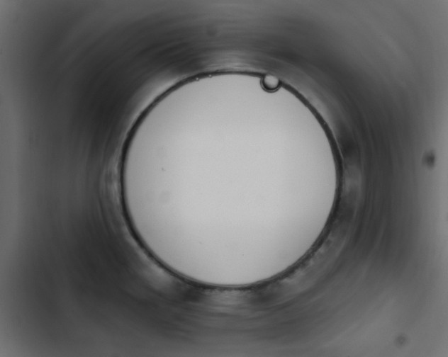 X0000103931293200809261655
