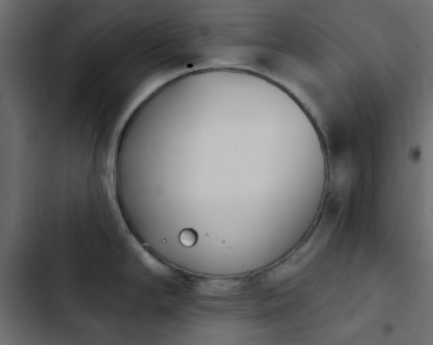 X0000103931294200809261655