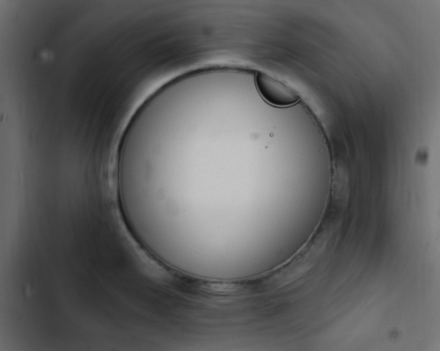 X0000103931295200809261655