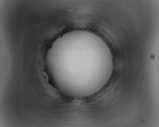 X0000103931297200809261654