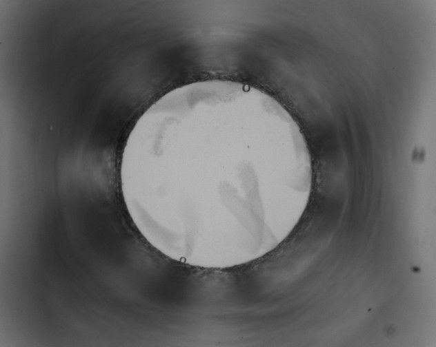 X0000103931298200809261654