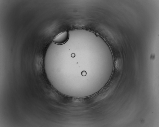 X0000103931299200809261654