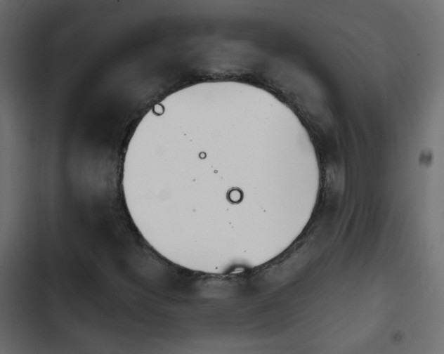 X0000103931300200809261654