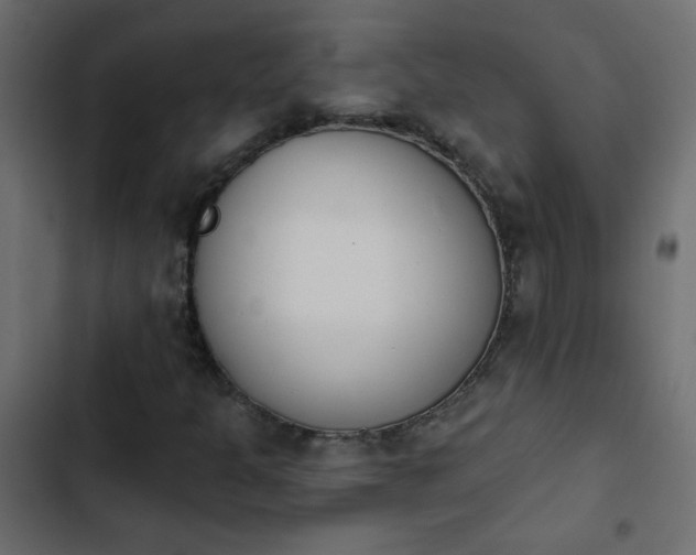 X0000103931301200809261654
