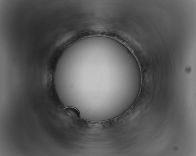 X0000103931302200809261654