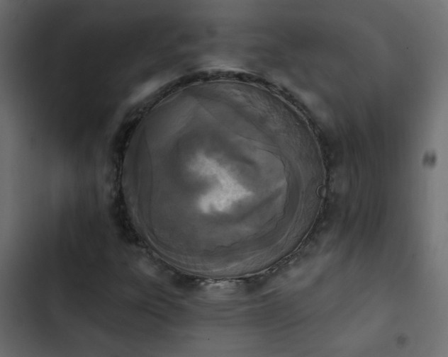 X0000103931303200809261654