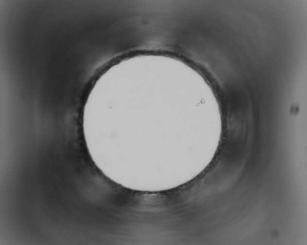 X0000103931304200809261654
