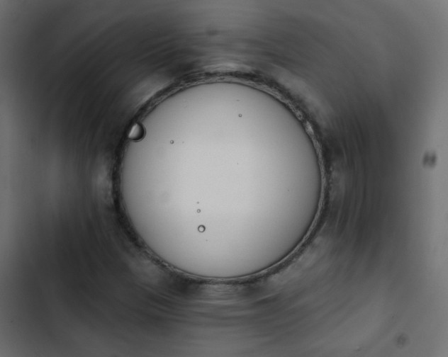 X0000103931305200809261654