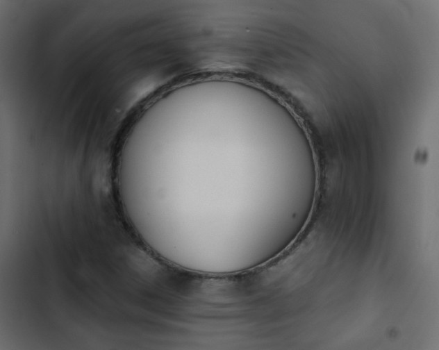 X0000103931306200809261654