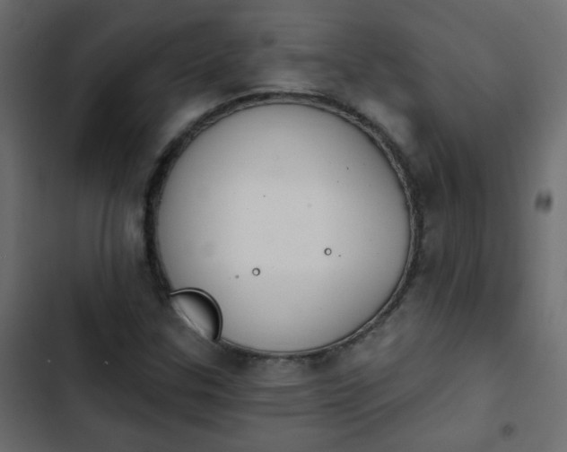 X0000103931307200809261654