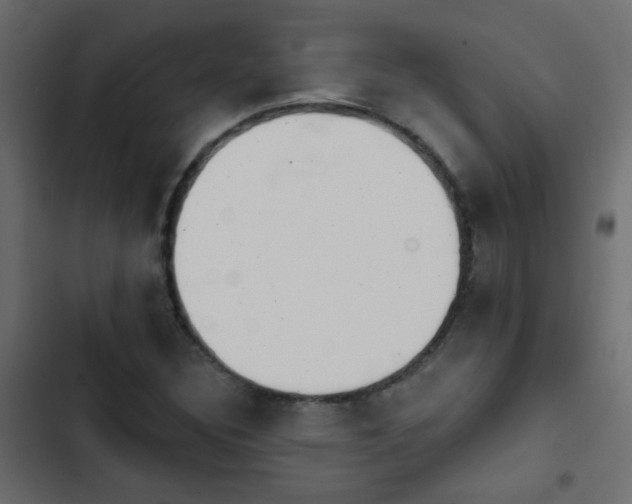 X0000103931308200809261654