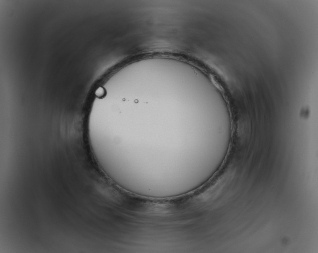 X0000103931309200809261654