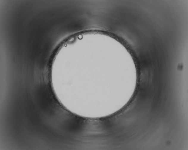X0000103931310200809261655