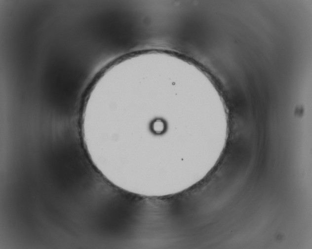 X0000103931312200809261655