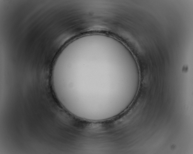 X0000103931313200809261655