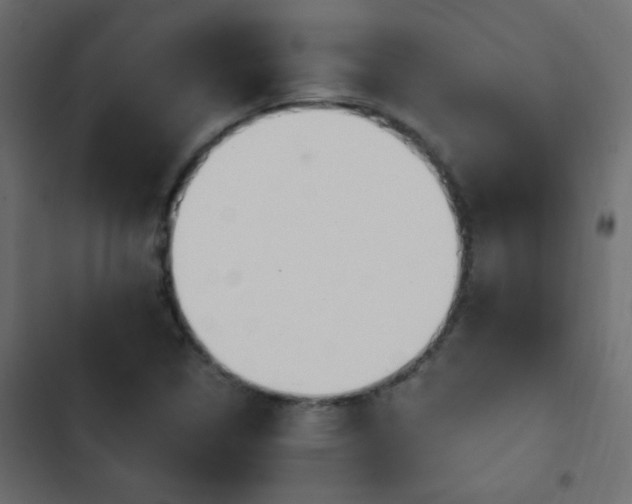 X0000103931314200809261655