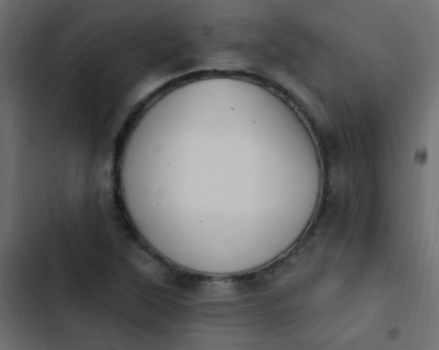 X0000103931315200809261655