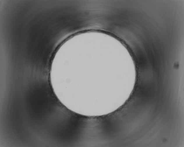 X0000103931316200809261655