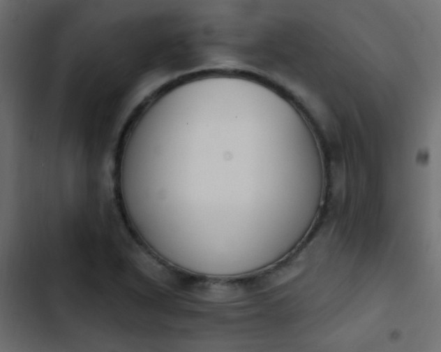 X0000103931318200809261655