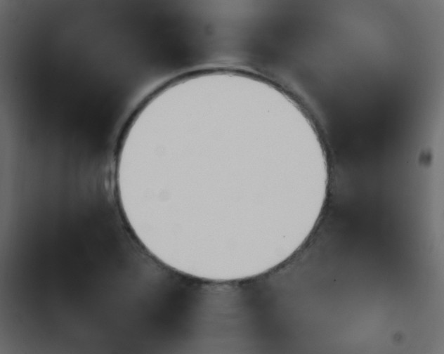 X0000103931320200809261655