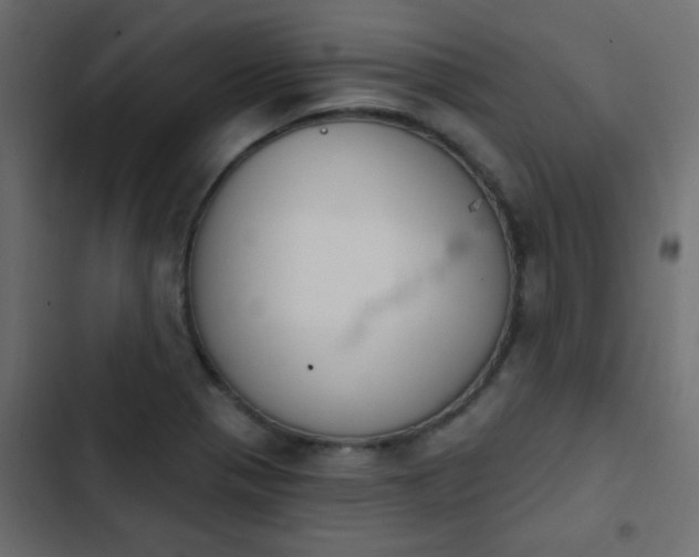 X0000103931321200809261655