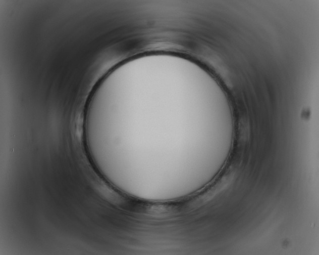 X0000103931322200809261655