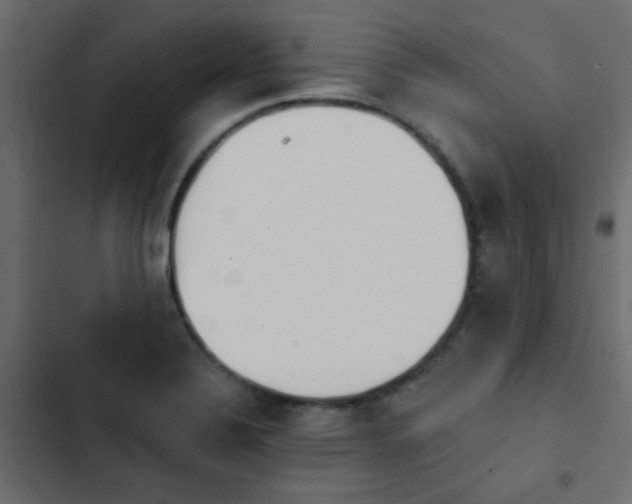 X0000103931324200809261655