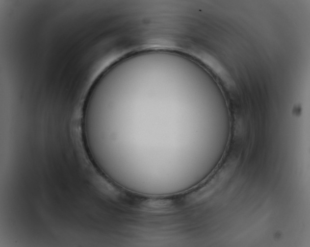 X0000103931325200809261655