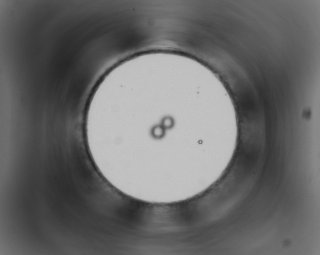 X0000103931326200809261655