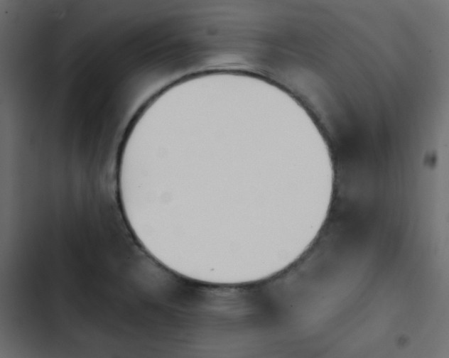 X0000103931328200809261655