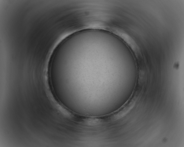 X0000103931331200809261655