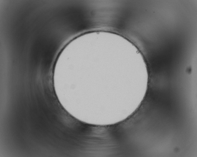 X0000103931332200809261655