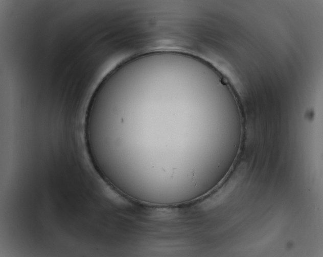 X0000103931333200809261655