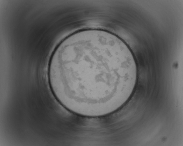 X0000103931334200809261655