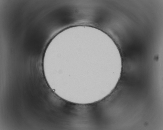 X0000103931336200809261655