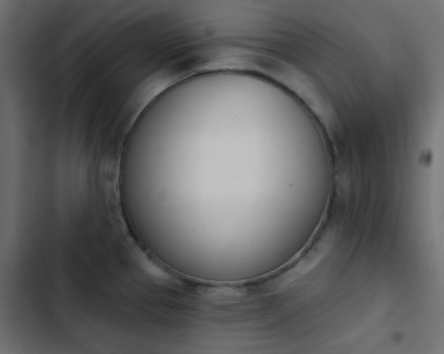 X0000103931337200809261655