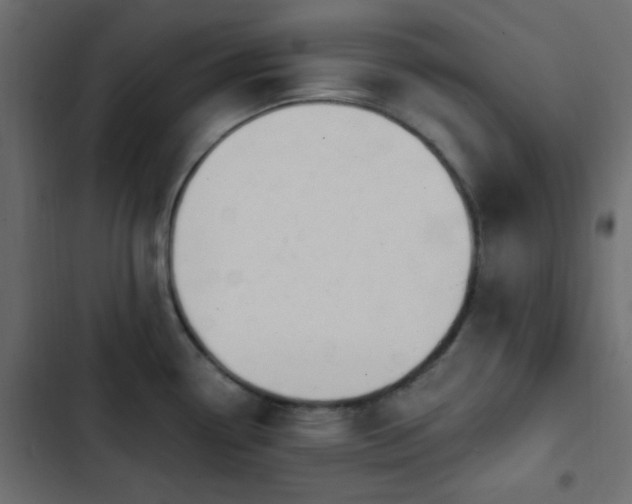 X0000103931338200809261655