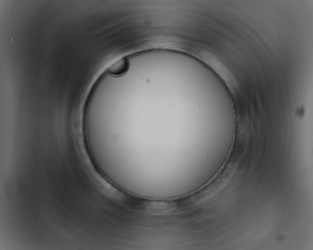 X0000103931339200809261655