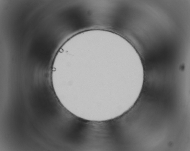 X0000103931340200809261655