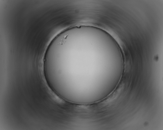 X0000103931341200809261655