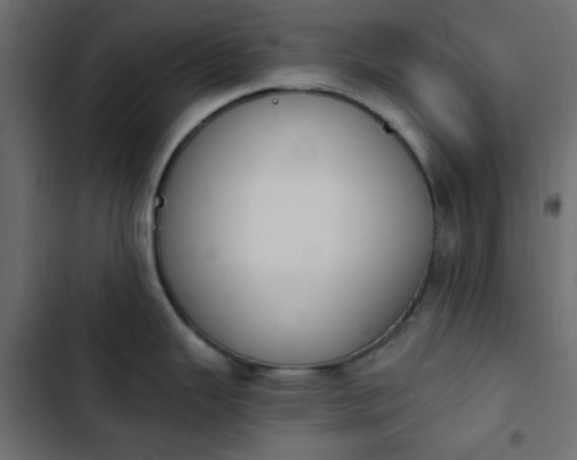 X0000103931343200809261655