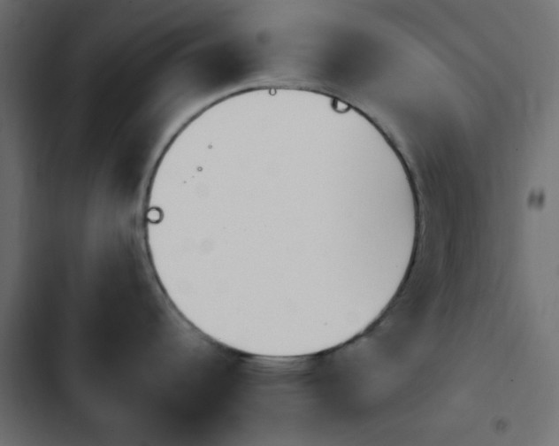 X0000103931344200809261655