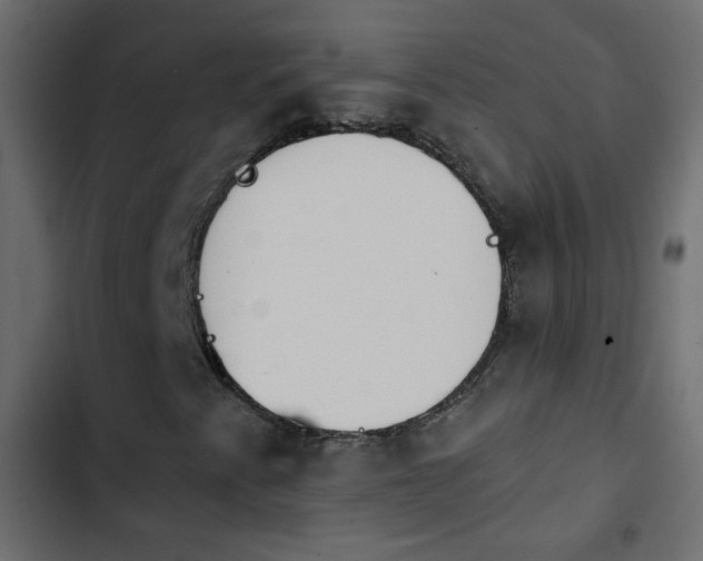 X0000103931345200809261654
