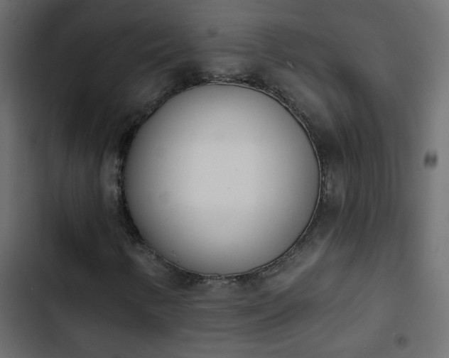 X0000103931346200809261654