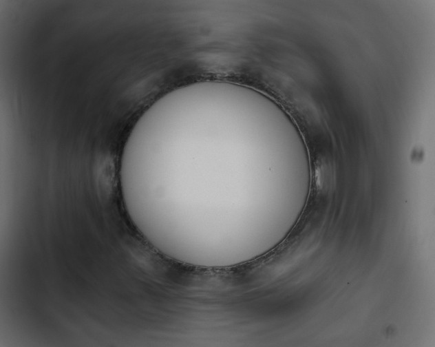 X0000103931347200809261654